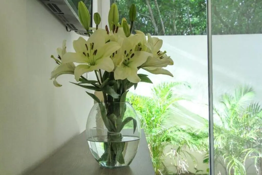 Aqua De Sal 01 Private Casa At Aldea Zama Sleeps 5 Apartment Tulum